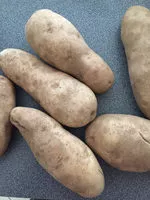 Suhkru kogus sees Signature Select Russet Potatoes