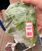 Zuckermenge drin Cilantro