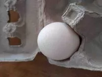 含糖量 Egg - Jumbo