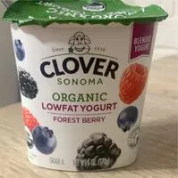入っている砂糖の量 Organic Lowfat Yogurt