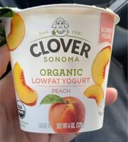 入っている砂糖の量 Organic Lowfat Yogurt Peach