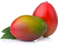 入っている砂糖の量 Fresh Mango