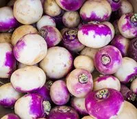 入っている砂糖の量 Turnip Root - Fresh