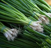 Suhkru kogus sees Leek Bulb and leaf