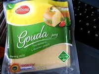 Gouda holland