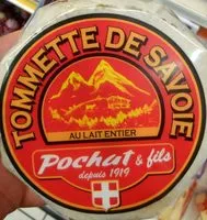 Tomme cheese from mountain or savoy