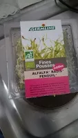 Количество сахара в Fines pousses ALFALFA RADIS FENOUIL
