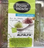 Sucre et nutriments contenus dans Pouss salade