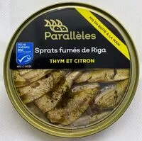 European sprat