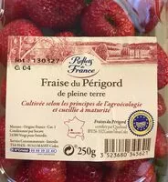 Fraise du perigord