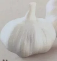 Amount of sugar in Ail surgelé