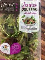 Pousses de salade