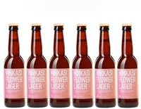 İçindeki şeker miktarı Lot 6x33cl - Bière Ninkasi Flower Lager