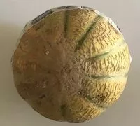 Cantidad de azúcar en Melon