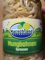 Mungobohnen sprossen