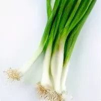 Suhkru kogus sees Green Onions