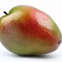 Jumlah gula yang masuk Mango