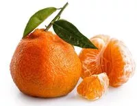 入っている砂糖の量 Satsuma