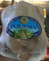 Poussins