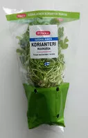 चीनी की मात्रा Suomalainen korianteri ruukussa