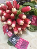 Suhkru kogus sees Radis botte récoltes à la main France