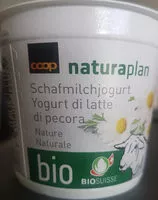 含糖量 Yogourt au lait de brebis