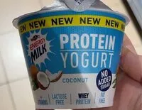 İçindeki şeker miktarı Protein Yogurt