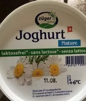 含糖量 Joghurt Nature sans lactose