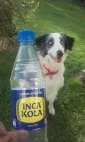 Sucre et nutriments contenus dans Inca kola