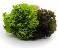 Cantidad de azúcar en Green Salada Primavera Hort Variad