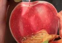 Quantité de sucre dans Fruit e Veg