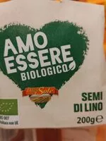 Zuckermenge drin Semi di lino
