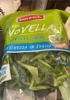 Suhkru kogus sees Insalata novella