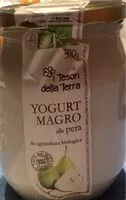 İçindeki şeker miktarı Yogurt magro