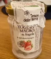 İçindeki şeker miktarı Yagirt magro fragola