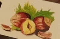 含糖量 Cacao pregiati