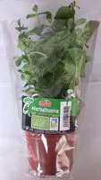 含糖量 Hierbabuena ecológica
