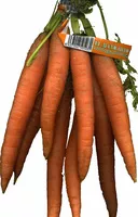 Cantidad de azúcar en Zanahorias