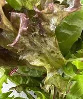 Количество сахара в Slamelange rucola