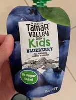 Amount of sugar in Tamar Valley dairy KIDS blueberry