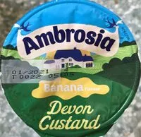 含糖量 Banana devon custard
