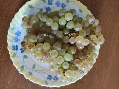 Sucre et nutriments contenus dans Chasselas