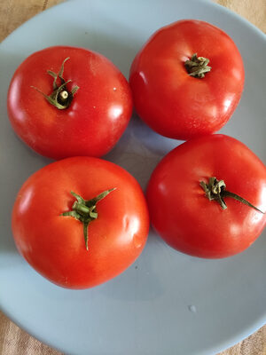 Tomate ronde charnues