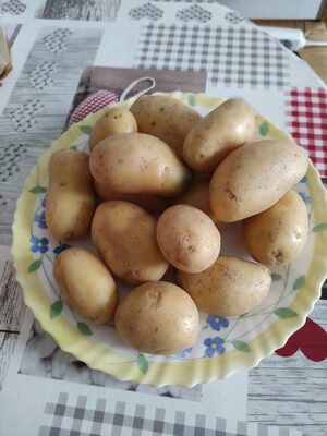 Pomme de terre gourmande d anjou