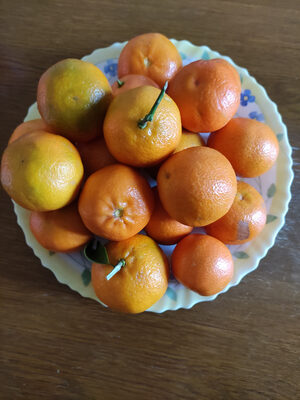 Sucre et nutriments contenus dans Clementine de corse