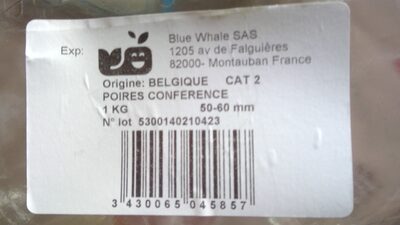 Sucre et nutriments contenus dans Blue whales sas