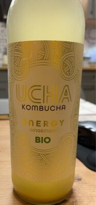 Kombucha gingembre bio