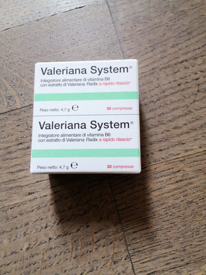 糖質や栄養素が Valeriana system